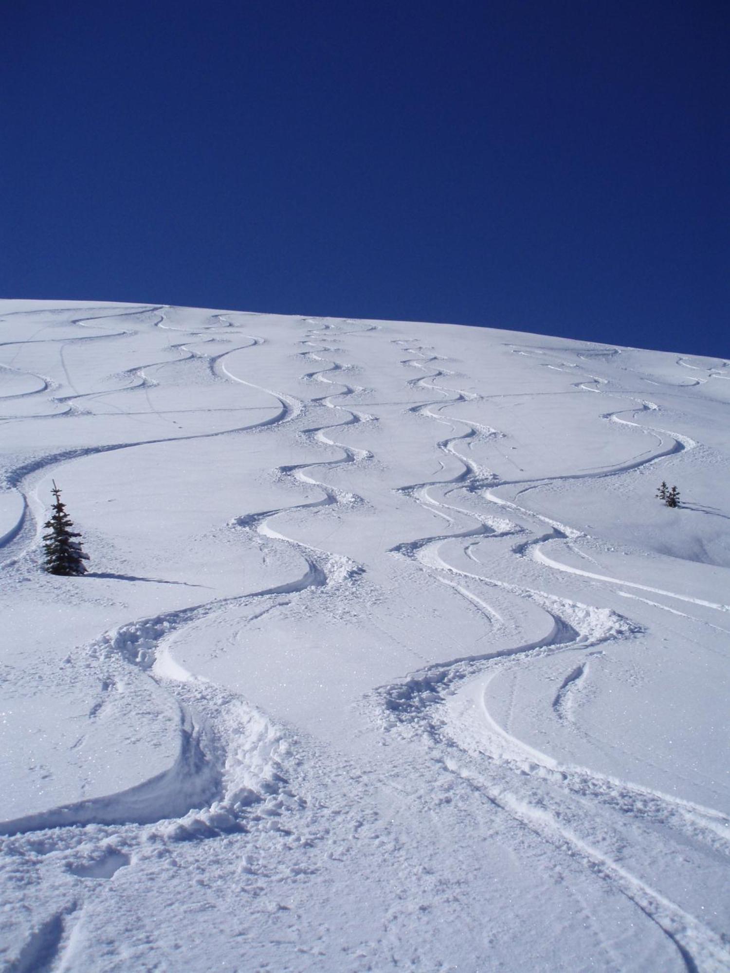 Belle Neige Suites: Whistler Exteriör bild
